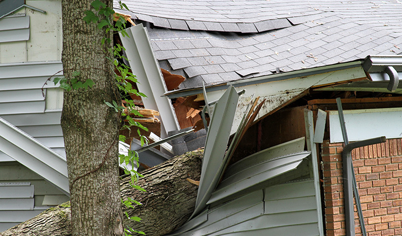 Does Homeowners Insurance Cover Interior Server Damage?