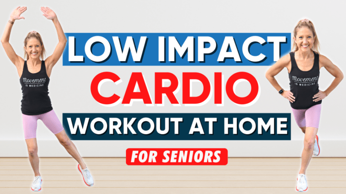 Fun, Low Impact Exercise For Seniors - Fitness With Cindy | Senior ...